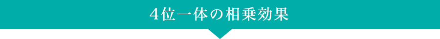 4位一体の相乗効果