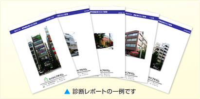 診断レポートの一例です